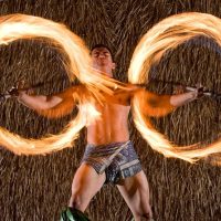 Shows, Concerts & Sports
