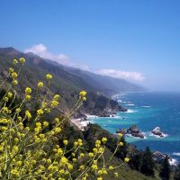Private & Custom Tours