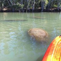 Cultural & Theme Tours