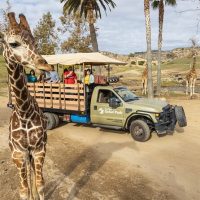 Zoo Tickets & Passes