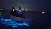 Chasing Bioluminescence under the stars
