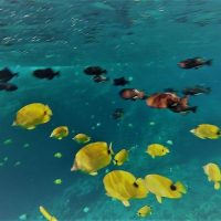 Snorkeling