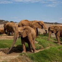 Sightseeing Tickets & Passes