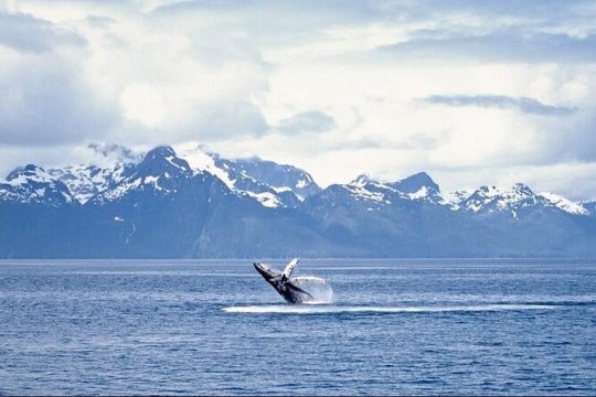 Hanukkah in Alaska