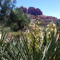 Hiking & Camping