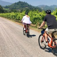 Wine Tasting & Winery Tours