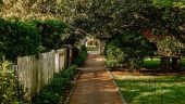 Belle Meade Mansion- Do not miss this Tour