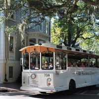 Cultural & Theme Tours