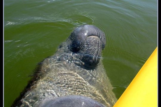 New Year’s Day long weekend in Everglades National Park