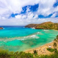 Bus & Minivan Tours