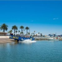 Boat Tours