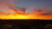 Sunset Tour Highly Recommend