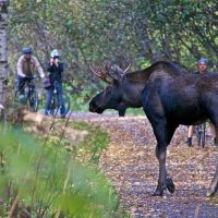 Bike & Mountain Bike Tours