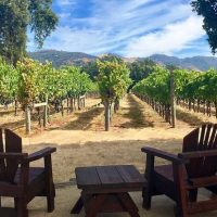 Day Trips & Excursions