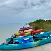 Half-day Tours