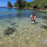 Day Trips & Excursions