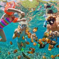 Day Trips & Excursions