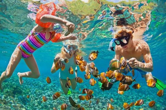 New Year’s Eve in Honolulu
