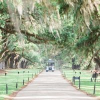 Tours & Sightseeing