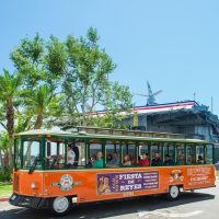 Trolley Tours