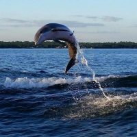 Cruises, Sailing & Water Tours