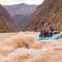 Boat Tours