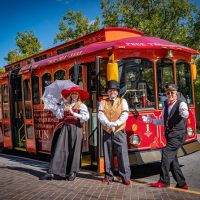 Tours & Sightseeing