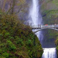 Bus & Minivan Tours