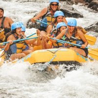 Holiday & Seasonal Tours