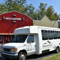Tours & Sightseeing