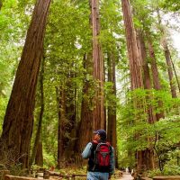 Eco Tours