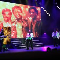 Shows, Concerts & Sports
