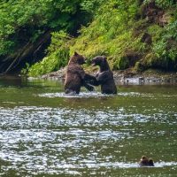 Luxury Tours