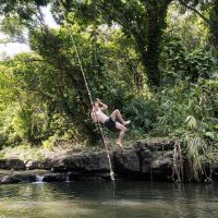 Kid Friendly Tours & Activities