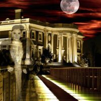 Luxury Tours