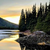 Hiking & Camping