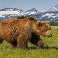 Private Sightseeing Tours