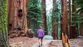 Relaxing
