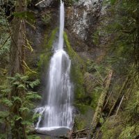 Bus & Minivan Tours