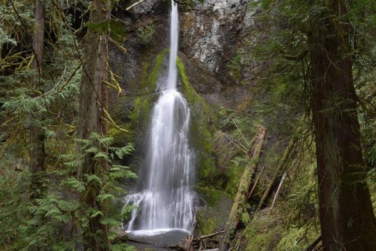 New Year’s Eve in Port Angeles