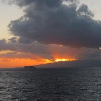 Sailing Trips