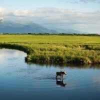 Private Sightseeing Tours