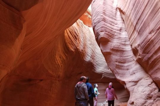 New Year’s Day long weekend in Zion National Park