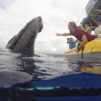 Nature & Wildlife