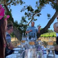Food, Wine & Nightlife