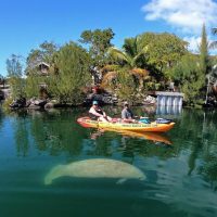 Tours & Sightseeing