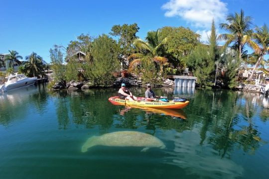 New Year’s Day long weekend in Key Largo