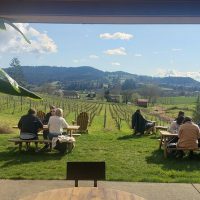 Wine Tasting & Winery Tours
