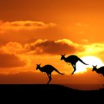 Top Australia activities
