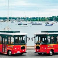 Cultural & Theme Tours